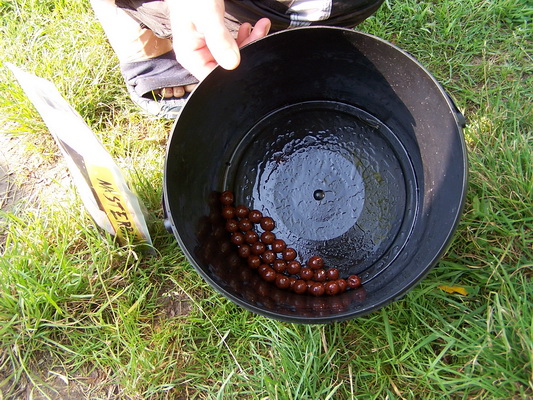 13_tresetiste_totalcarp.JPG