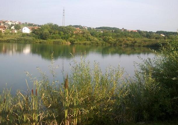 (00)Fotografija0015.jpg