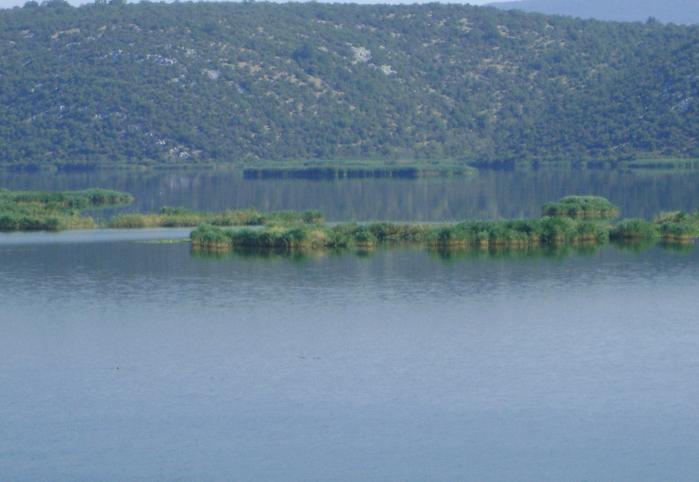 DSC02049.JPG