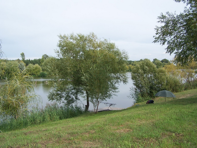 100_6546_resize.JPG