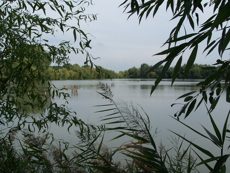 100_6550_resize.JPG