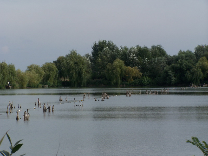 100_6552_resize.JPG