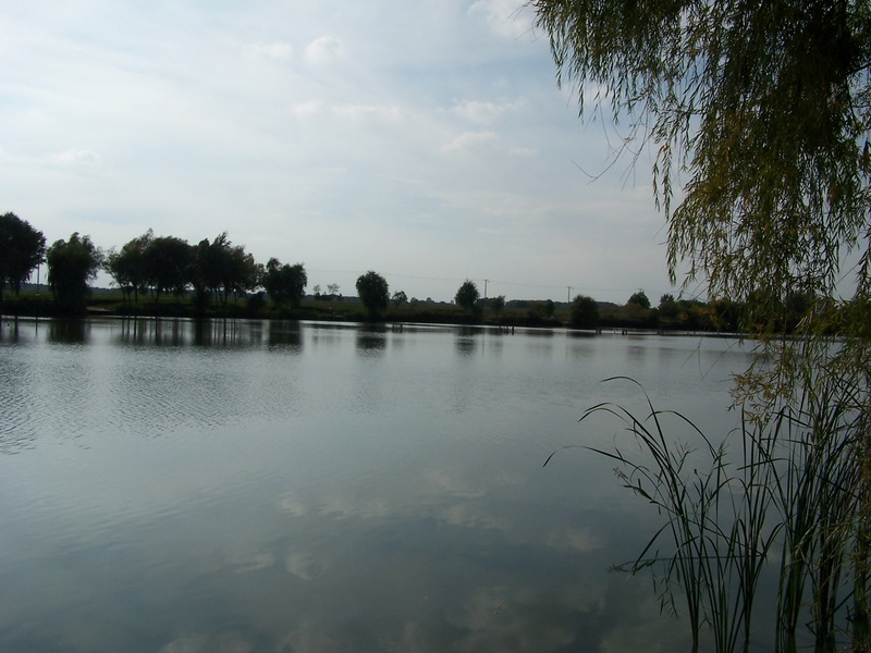 100_6563_resize.JPG