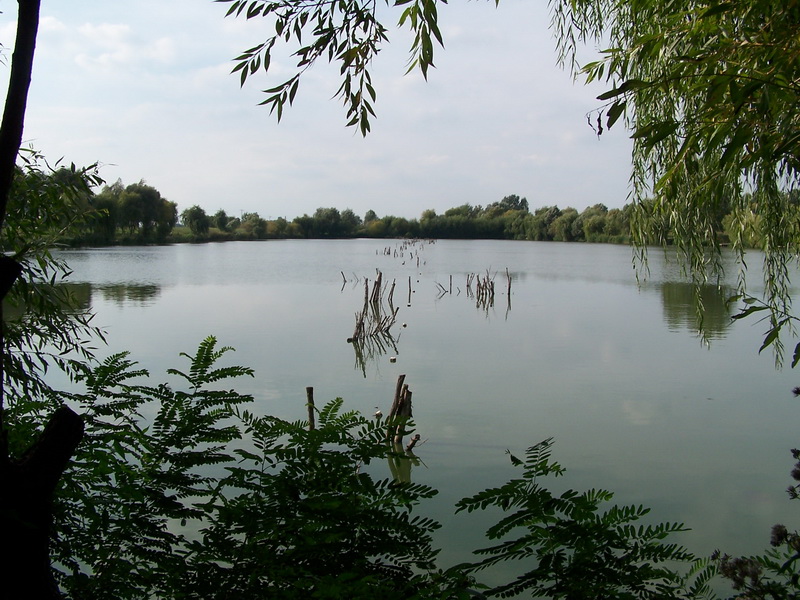 100_6564_resize.JPG