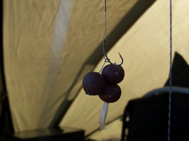 100_6684_800x600.jpg
