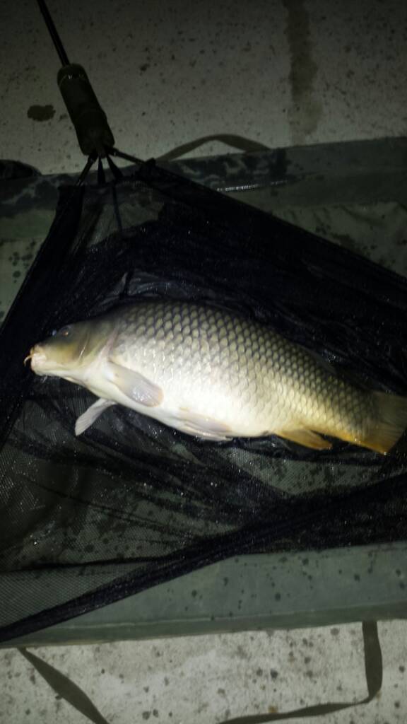 uploadfromtaptalk1407004322354.jpg