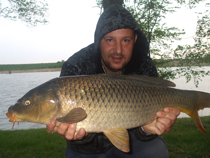 saran99.jpg
