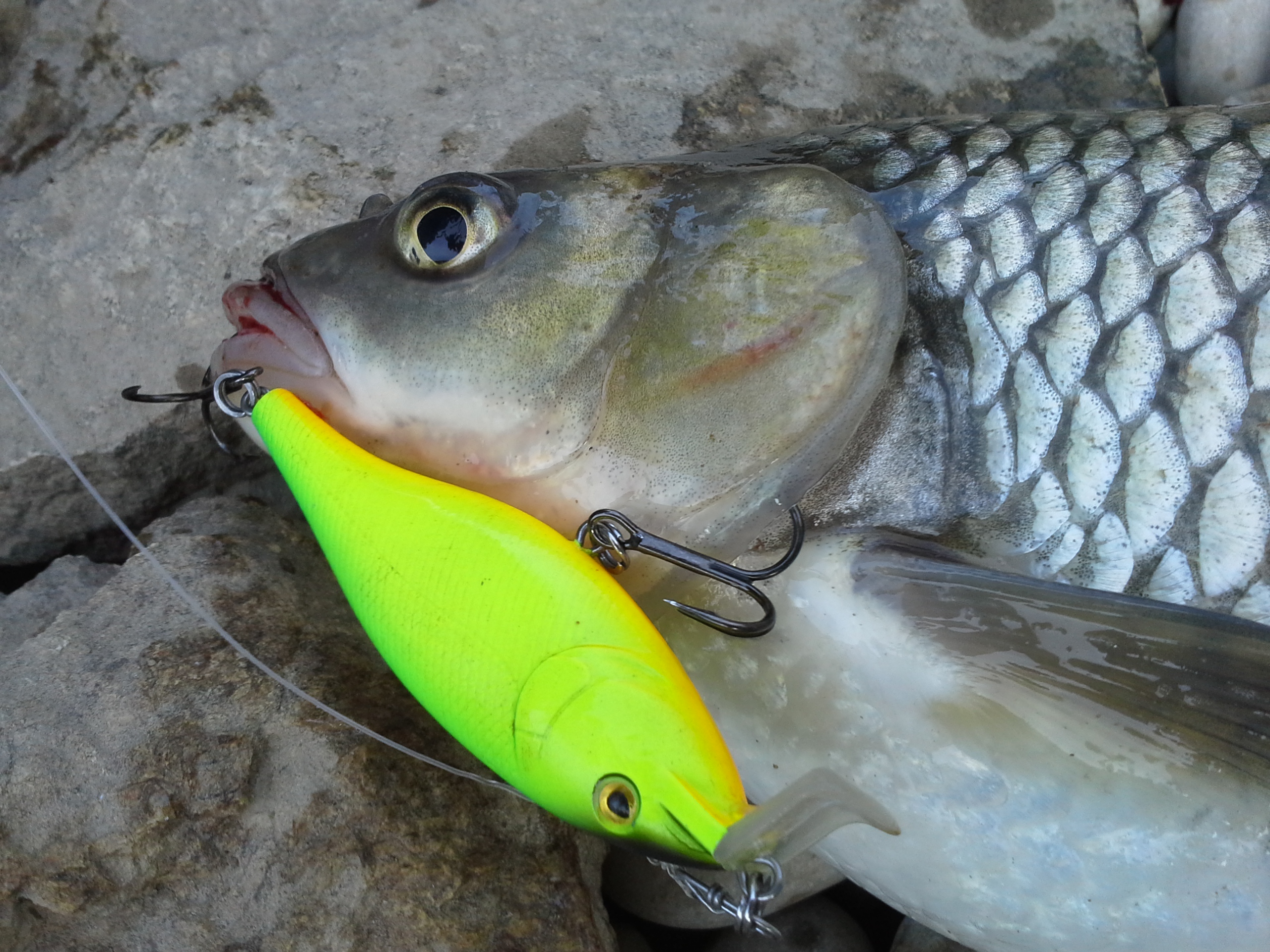 20150409_181249.jpg