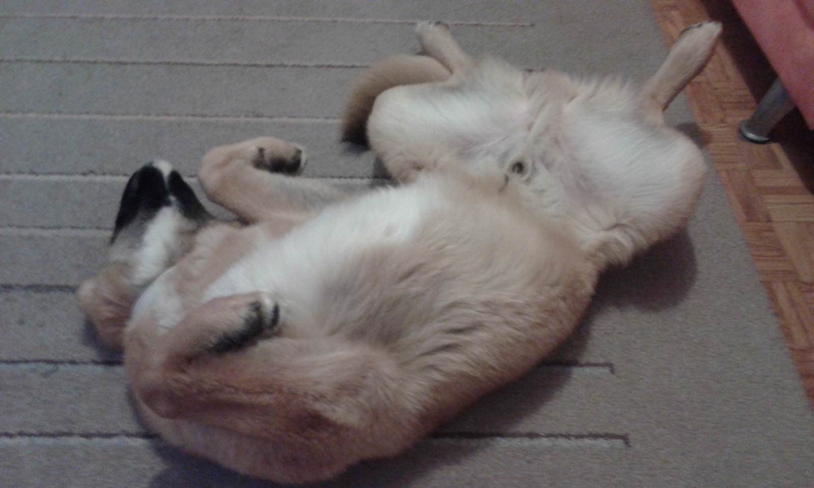 20150225_001932.jpg