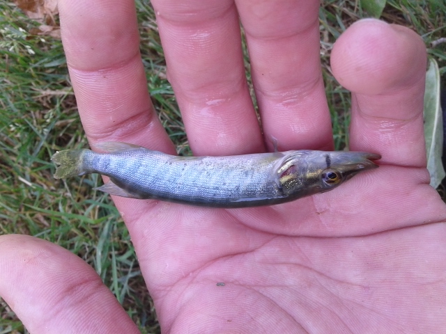 20150618_124738.jpg