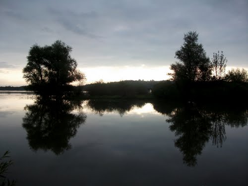 004.jpg