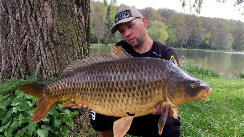 3m.jpg
