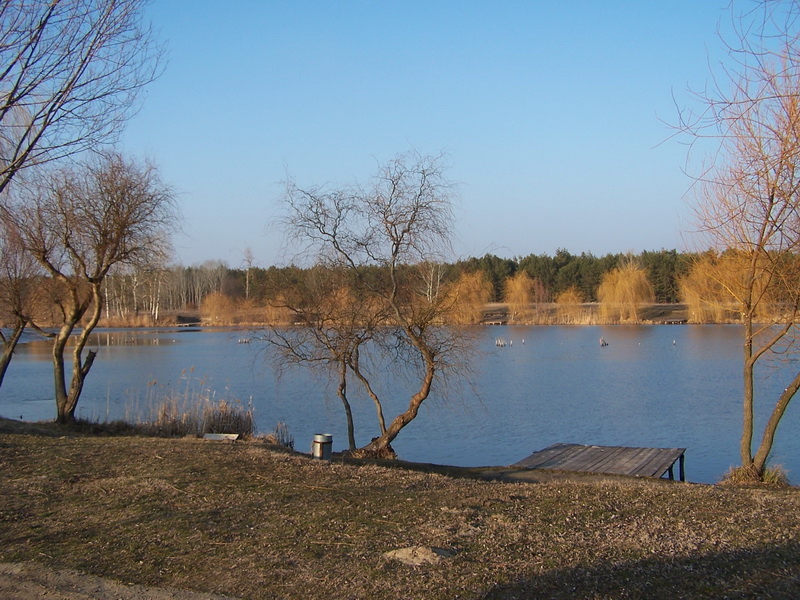 tozeg 015_resize.JPG