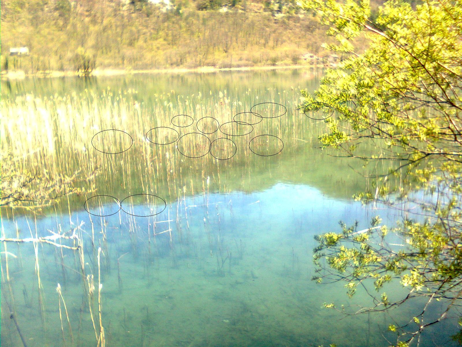 Slika0608a.JPG