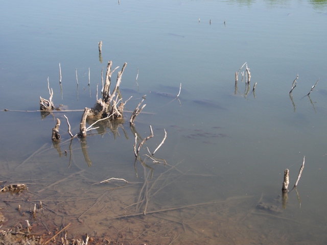 DSCF3198.jpg