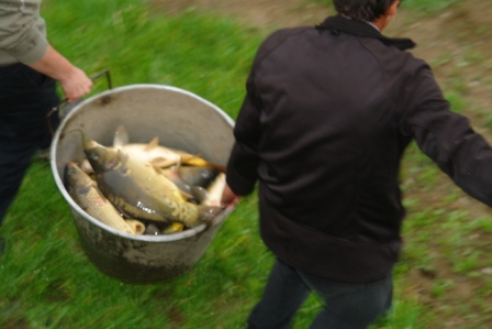 DSC09242 - Copy.JPG