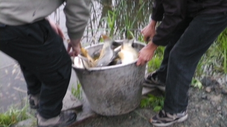 S1060029.JPG