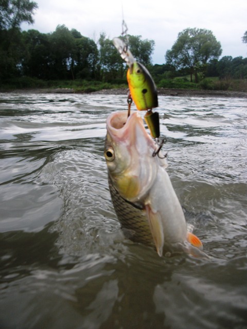 DSCF3425.jpg