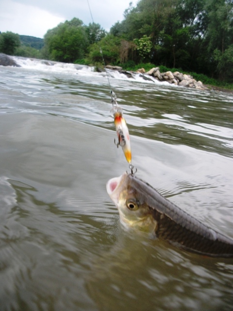 DSCF3427.jpg