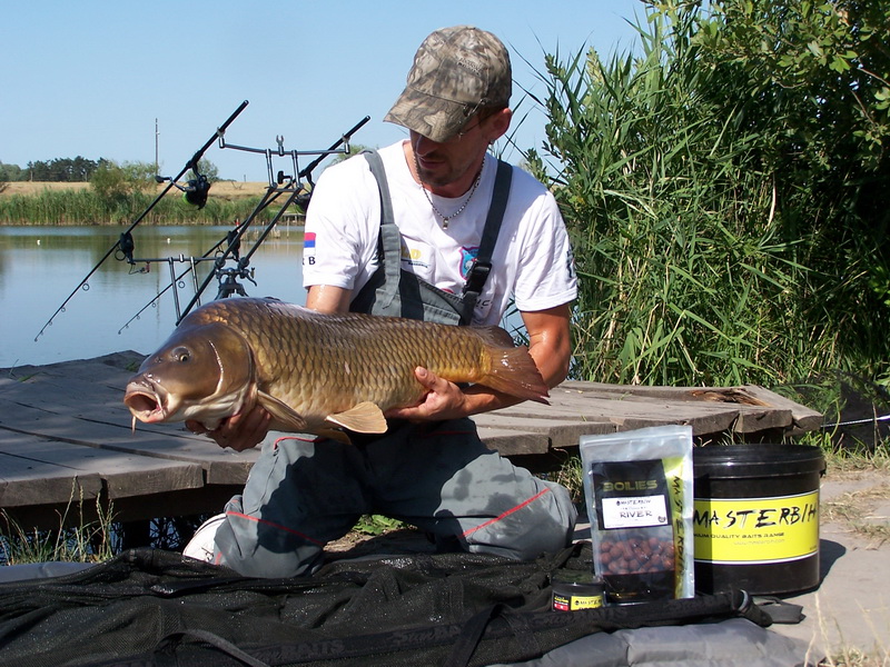 free carp 001-1.jpg