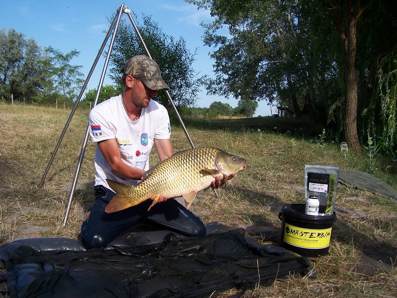 free carp 017-1.jpg