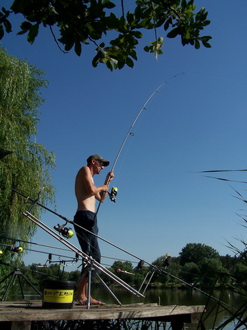free carp 006_resize_resize.JPG