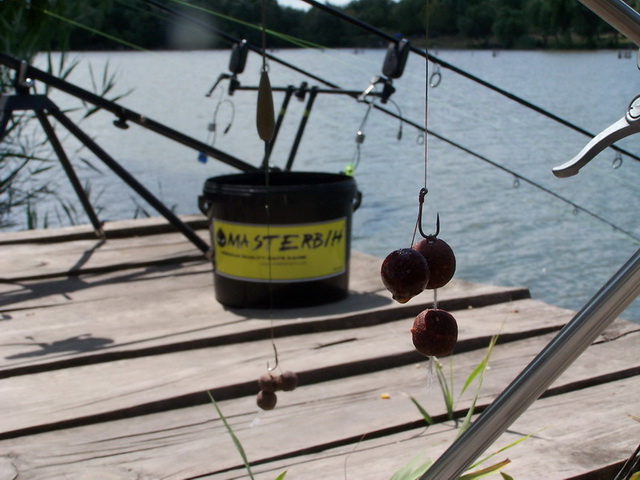 free carp 001_resize_resize.JPG