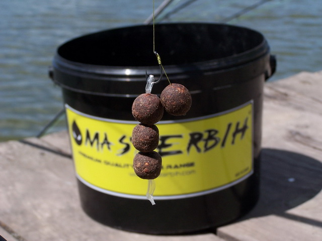 free carp 004_resize_resize.JPG